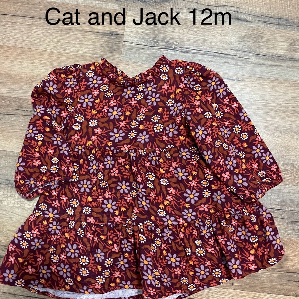 Cat and Jack 12m fall dress
